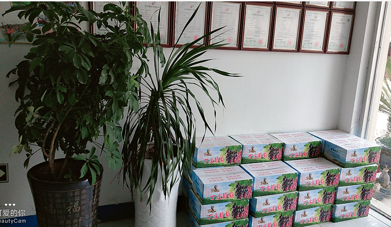 工具柜廠家天金岡精心為大家準備禮物